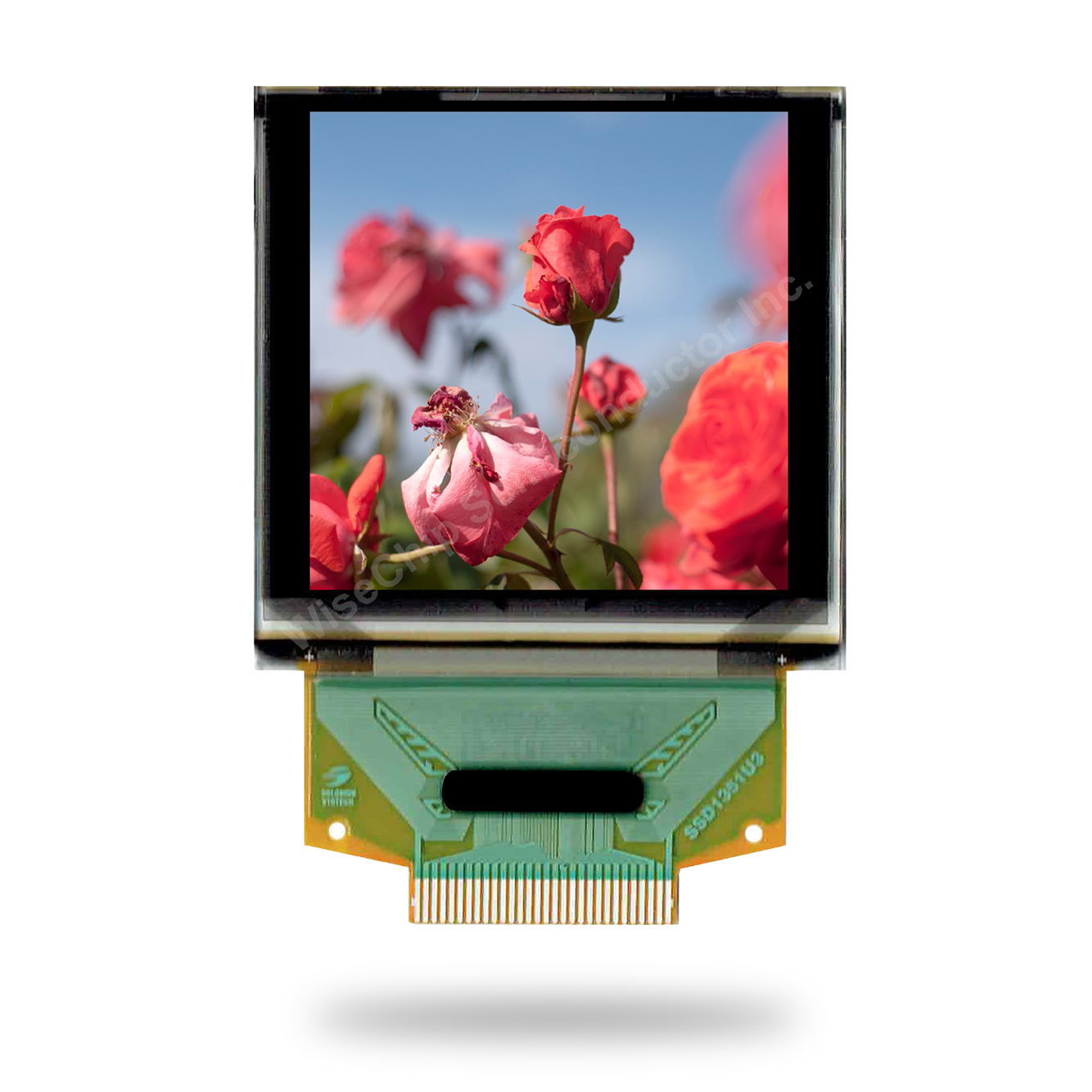 OLED